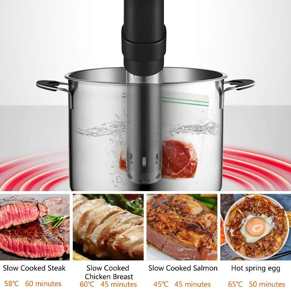 Sous Vide Culinary Cooker