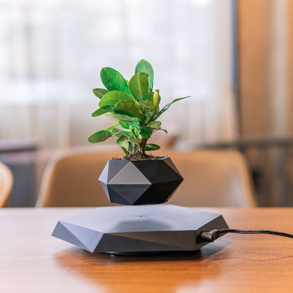 Levitating Magnetic Flower Pot