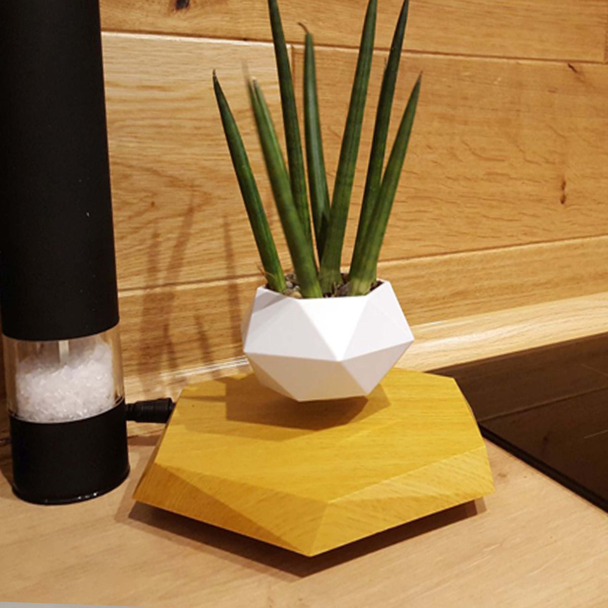 Levitating Magnetic Flower Pot