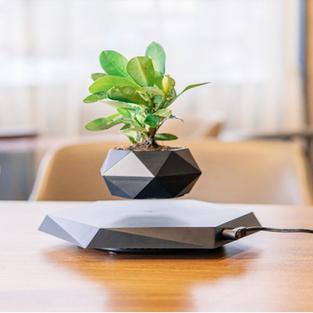 Levitating Magnetic Flower Pot