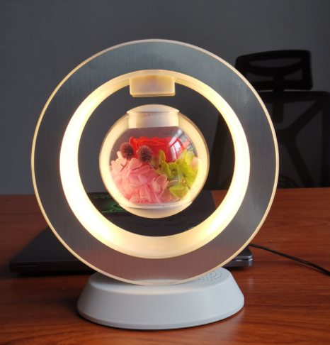 Heart Floating LED Night Light